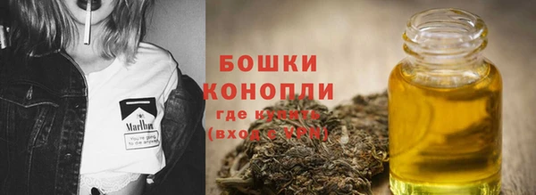mdpv Богданович
