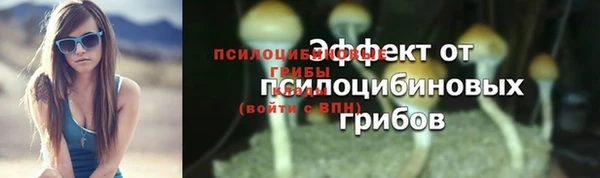 прущая мука Богородицк