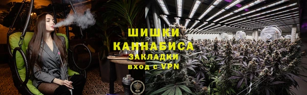 прущая мука Богородицк