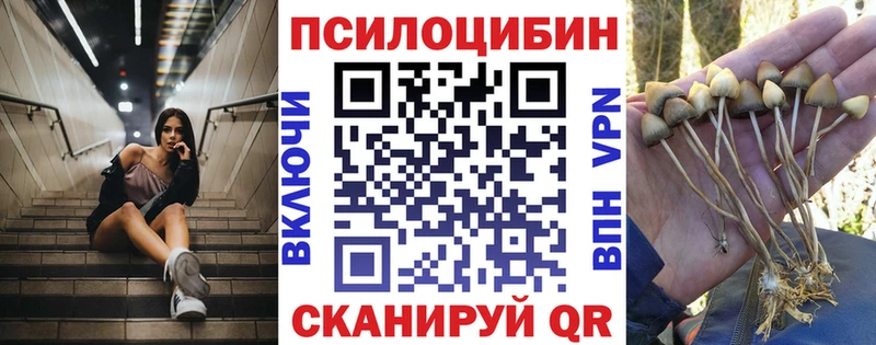 Псилоцибиновые грибы GOLDEN TEACHER  нарко площадка как зайти  Новый Уренгой 