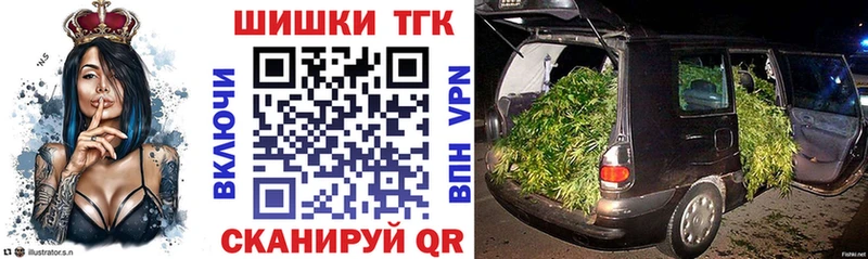 купить наркотики сайты  mega как войти  Канабис планчик  Новый Уренгой 